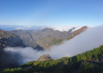 Bild Madeira- die Blumeninsel im Atlantik Reisebericht