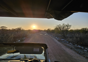Bild Namibia - endlose Weiten und wilde Tiere Reisebericht