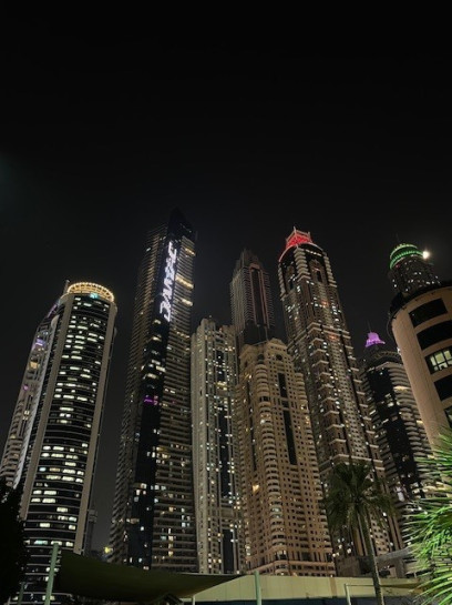 original Skyline 5